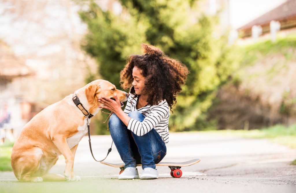 Como os pets podem ajudar no tratamento de doenças - Portal Q1VET